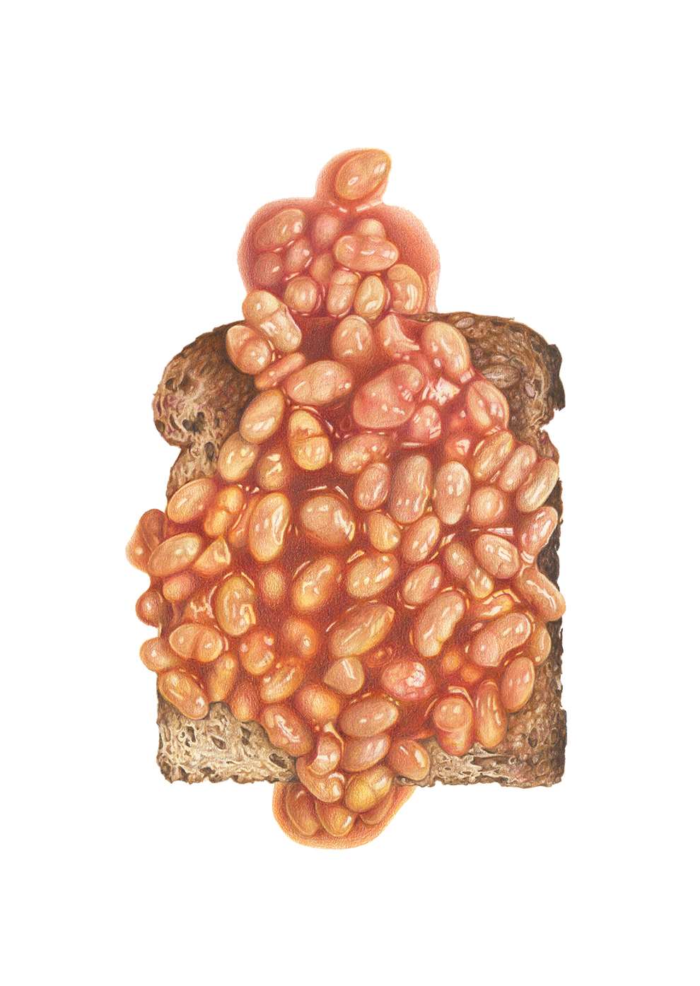 Pencil on Paper, Illustration of a beans of toast using a pencil for shading, gradient and texture.